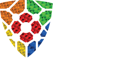 Liftsafe logo